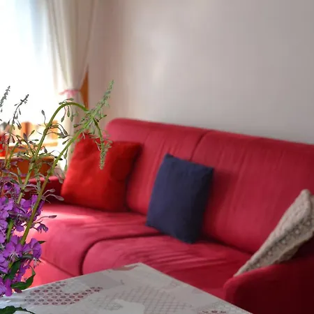 Edelweiss Ciel Blu Пила