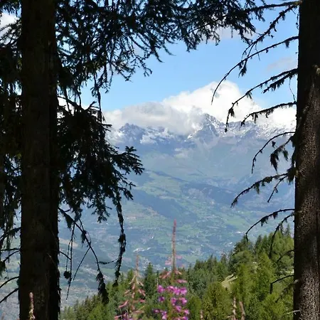 Edelweiss Ciel Blu *